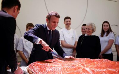 Emmanuel Macron pour l’apprentissage